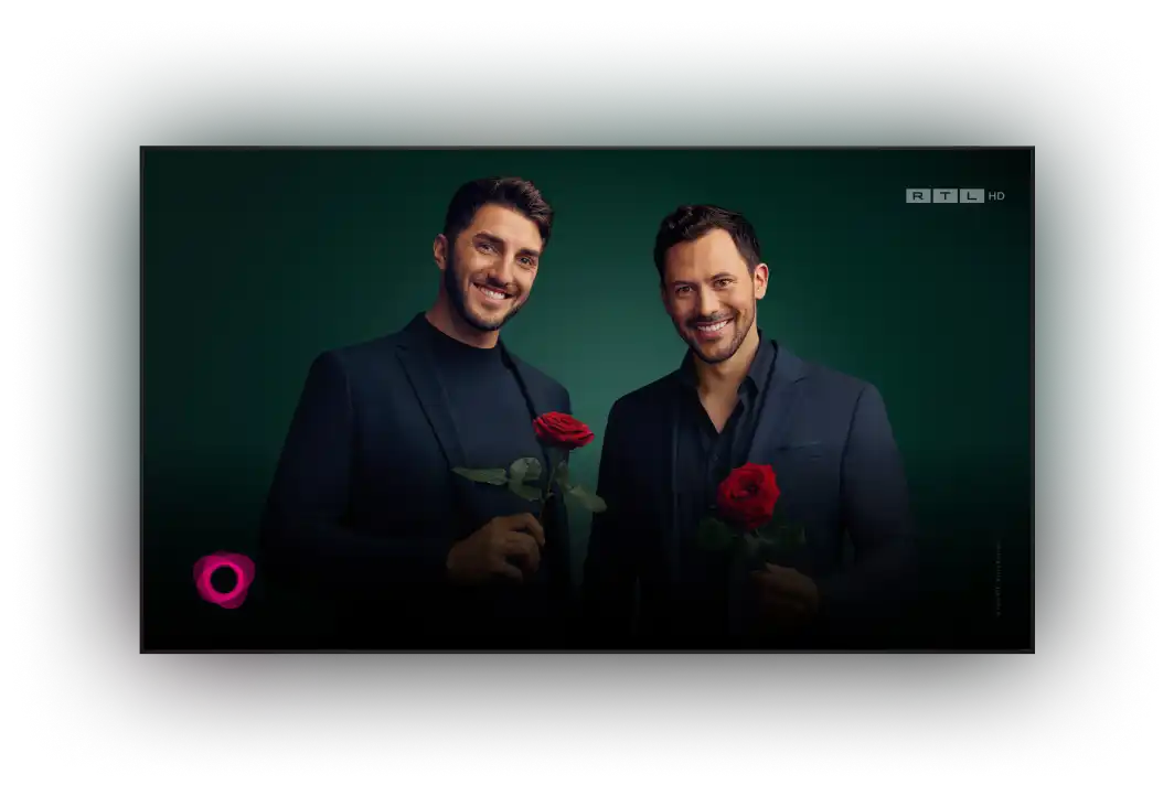 Die Bachelors halten jeweils eine Rose bei RTL HD