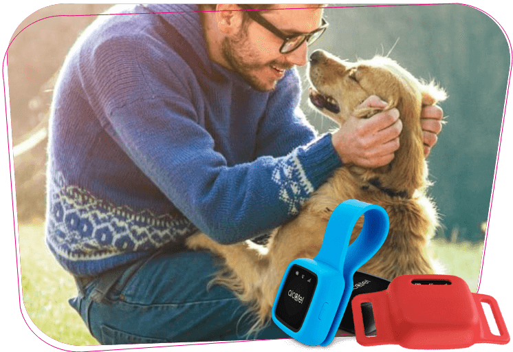 Combi GPS-Tracker für Ihren Hund | Telekom