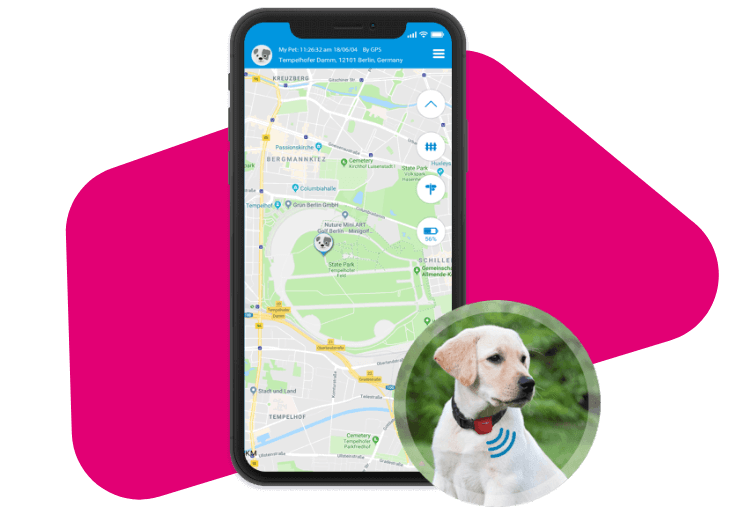 Combi GPS-Tracker für Ihren Hund | Telekom