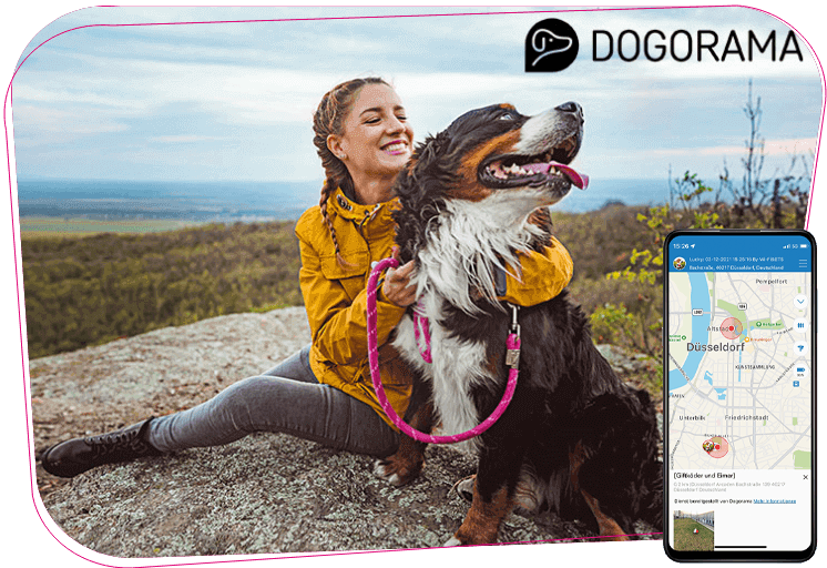 Combi Protect: GPS-Tracker für Ihren Hund | Telekom