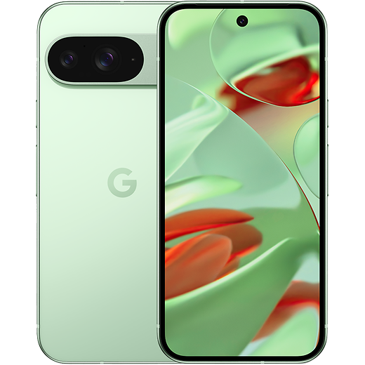 Google Pixel 9 Wintergreen - Vorne/Hinten